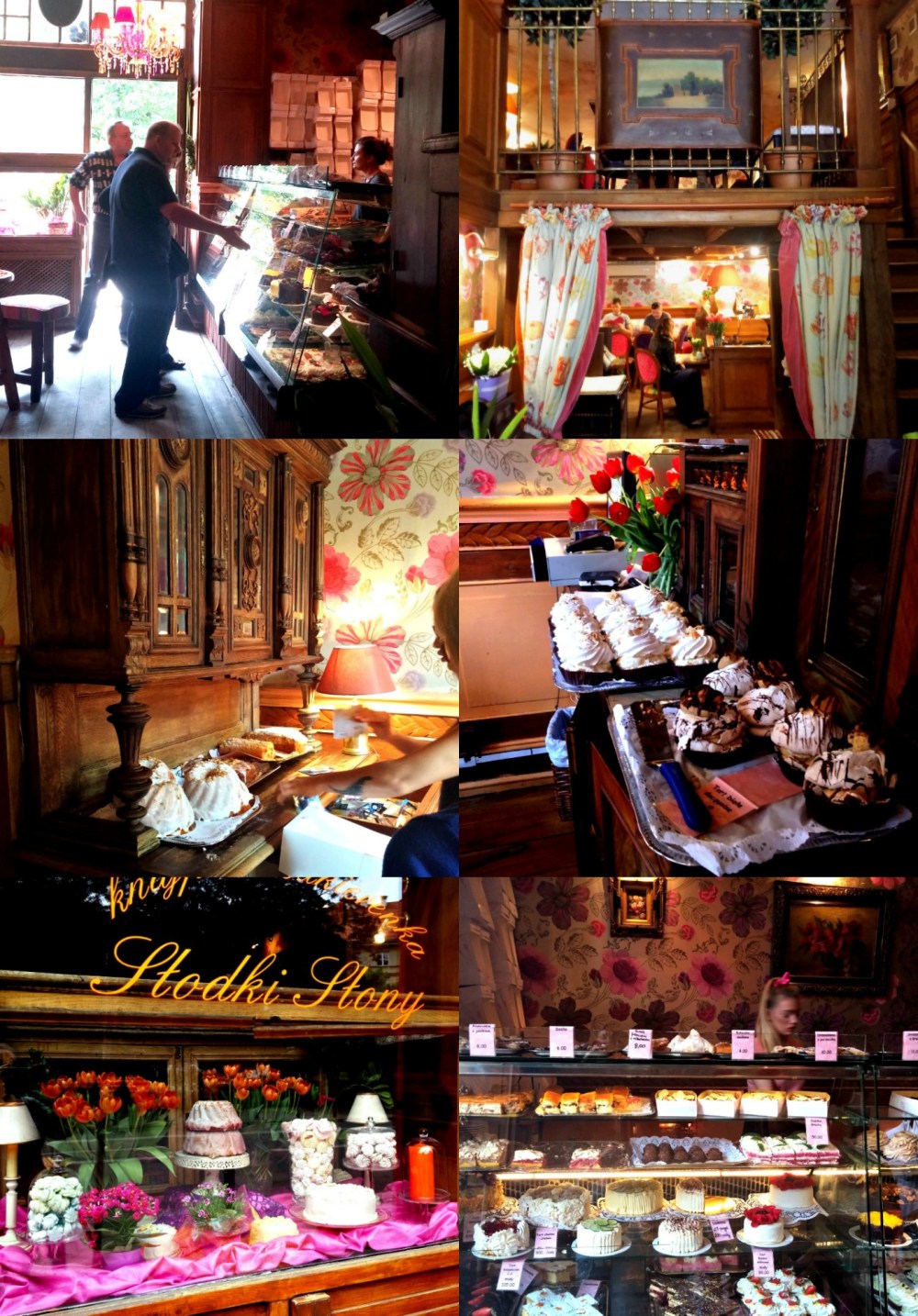 slosky slony Collage